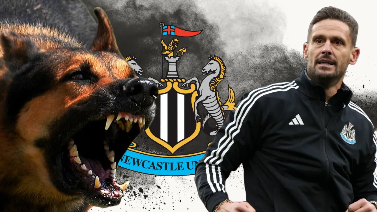 'I don't care': Mad Dog Jason Tindall defends his title as 'The most irritating man in football'