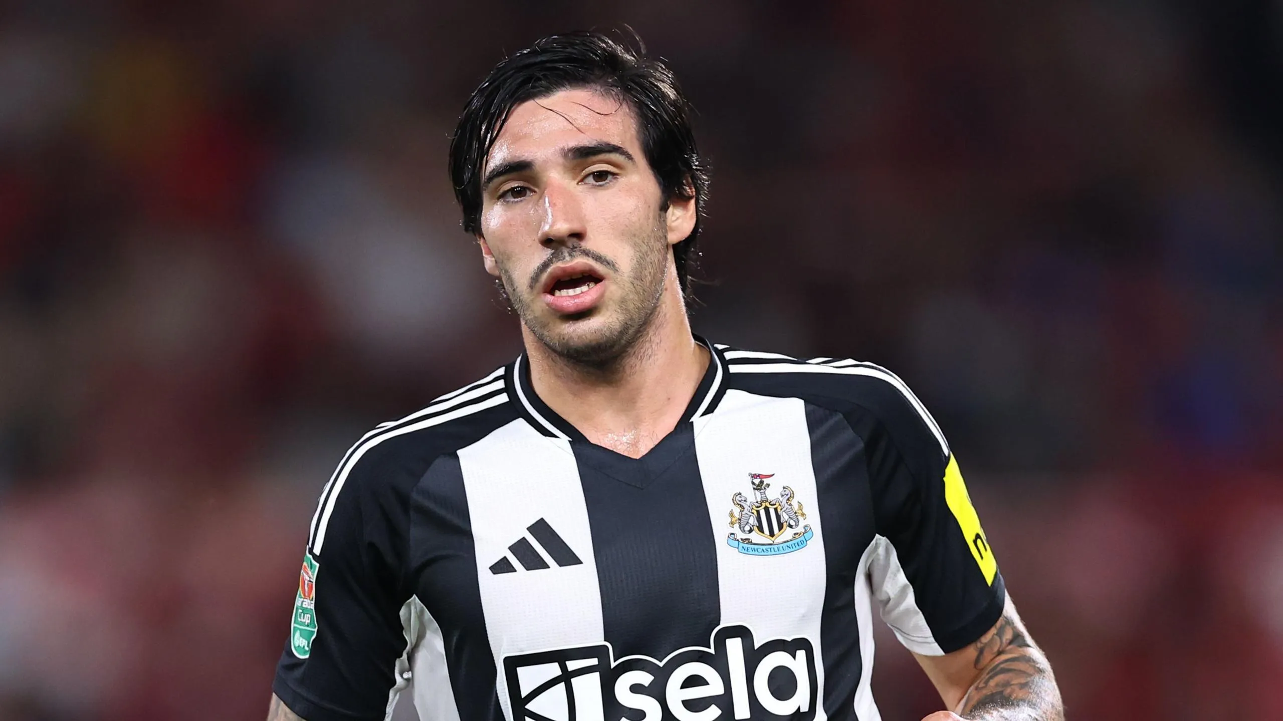 98e5de10 6582 11ef 8c32 f3c2bc7494c6