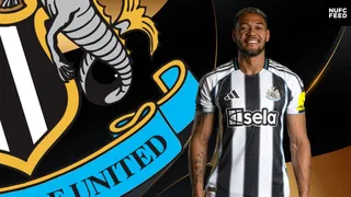 Newcastle United hint at huge injury boost with new social media video - key man could return against Wolves