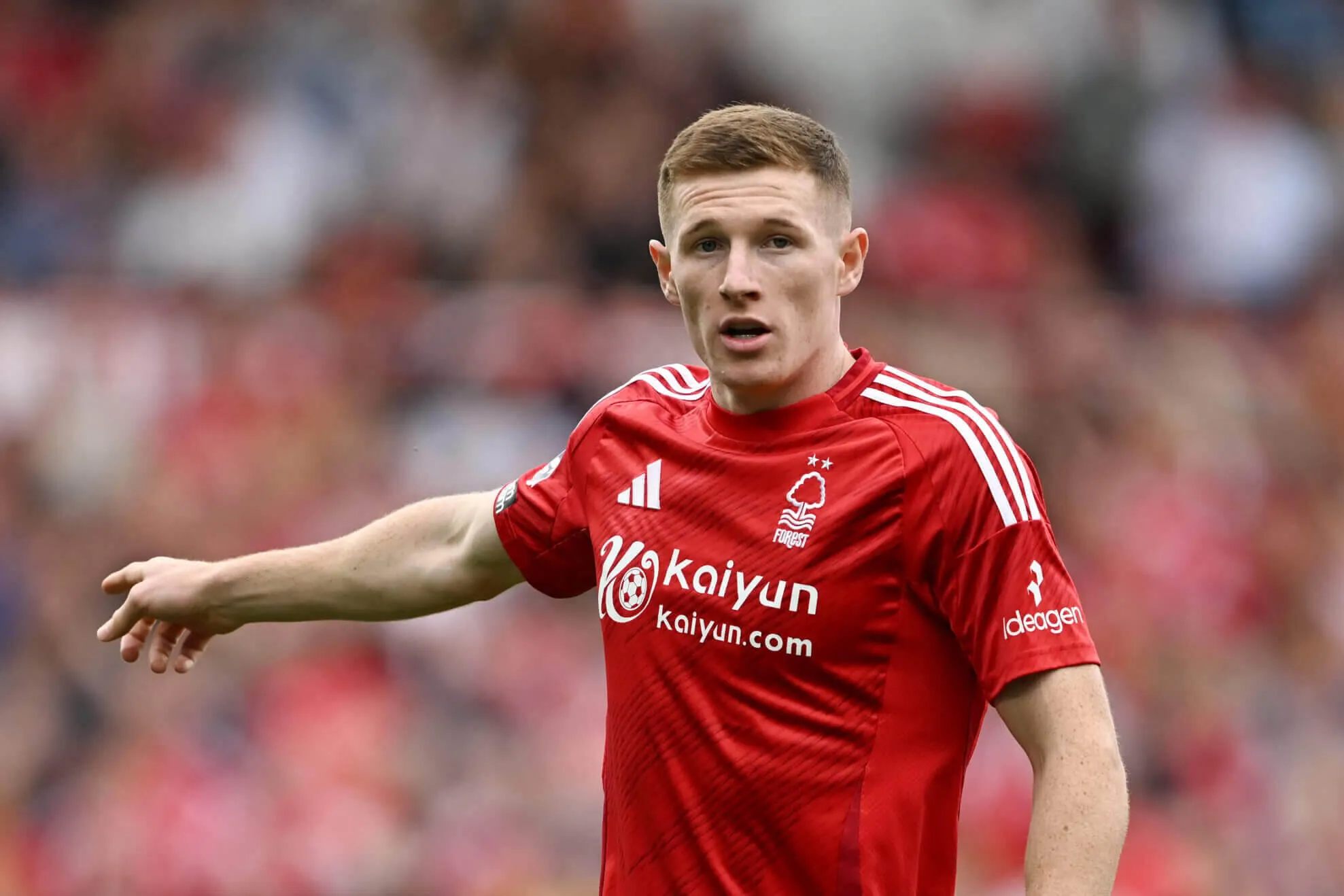 ELLIOT ANDERSON FOREST scaled e1724783909478 1