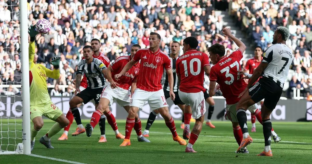 0 Getty Images 2239350374