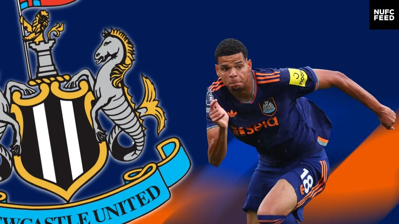 Bundesliga side believe they can sign Newcastle United forward for just £21m in January
