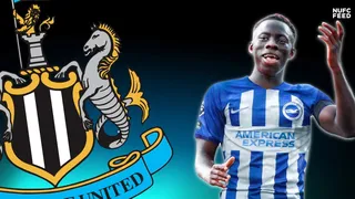 Former Magpie faces race to be fit to face old club when Newcastle United take on Brighton on Saturday