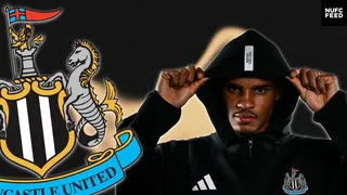 'Commanding': Former Premier League forward Dean Ashton was blown away by 'flawless' Newcastle United man last night