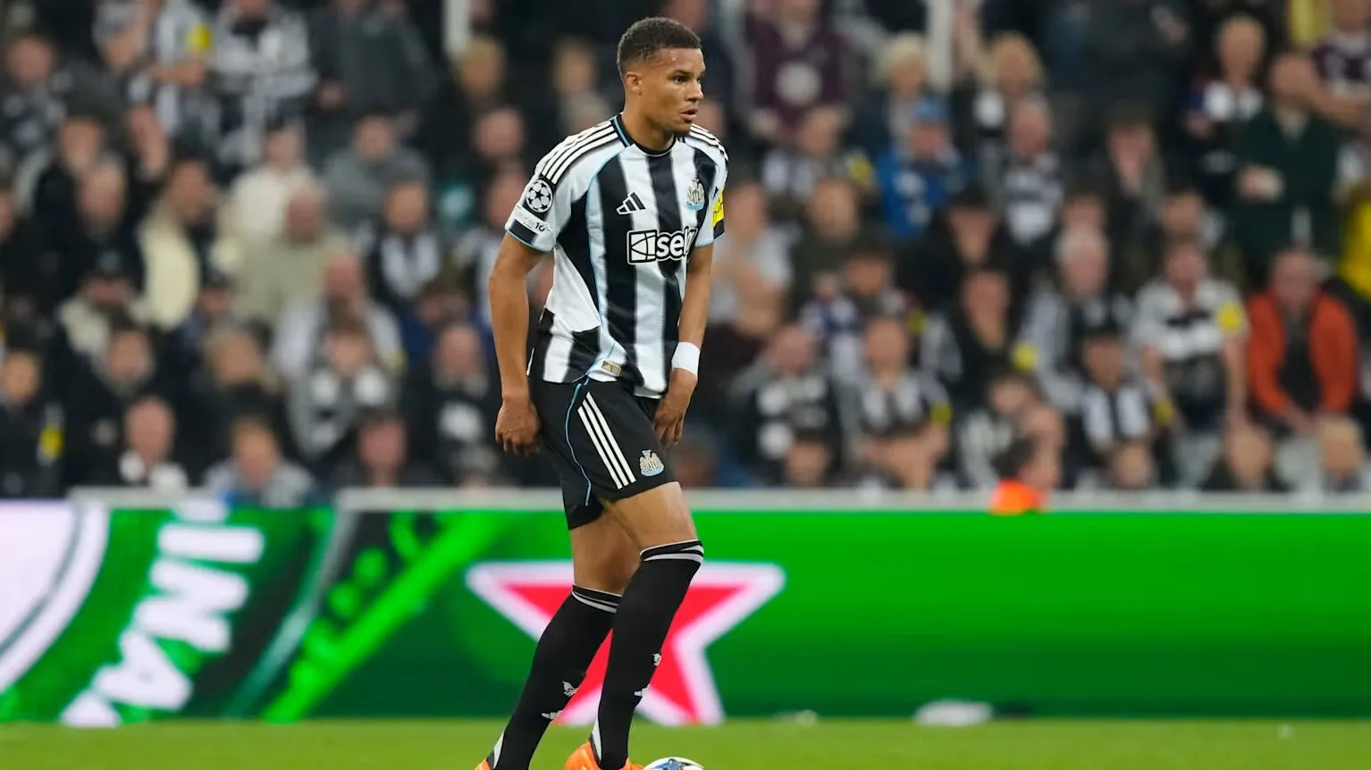 39 1549911690c9d79a2a38 ezgif com avif to jpg converter