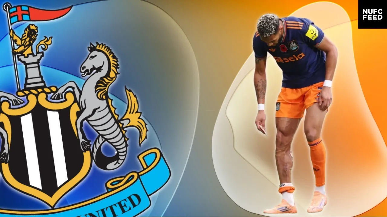 Newcastle United feeling confident £40m 'bully' will be fit to face Manchester City after horror challenge