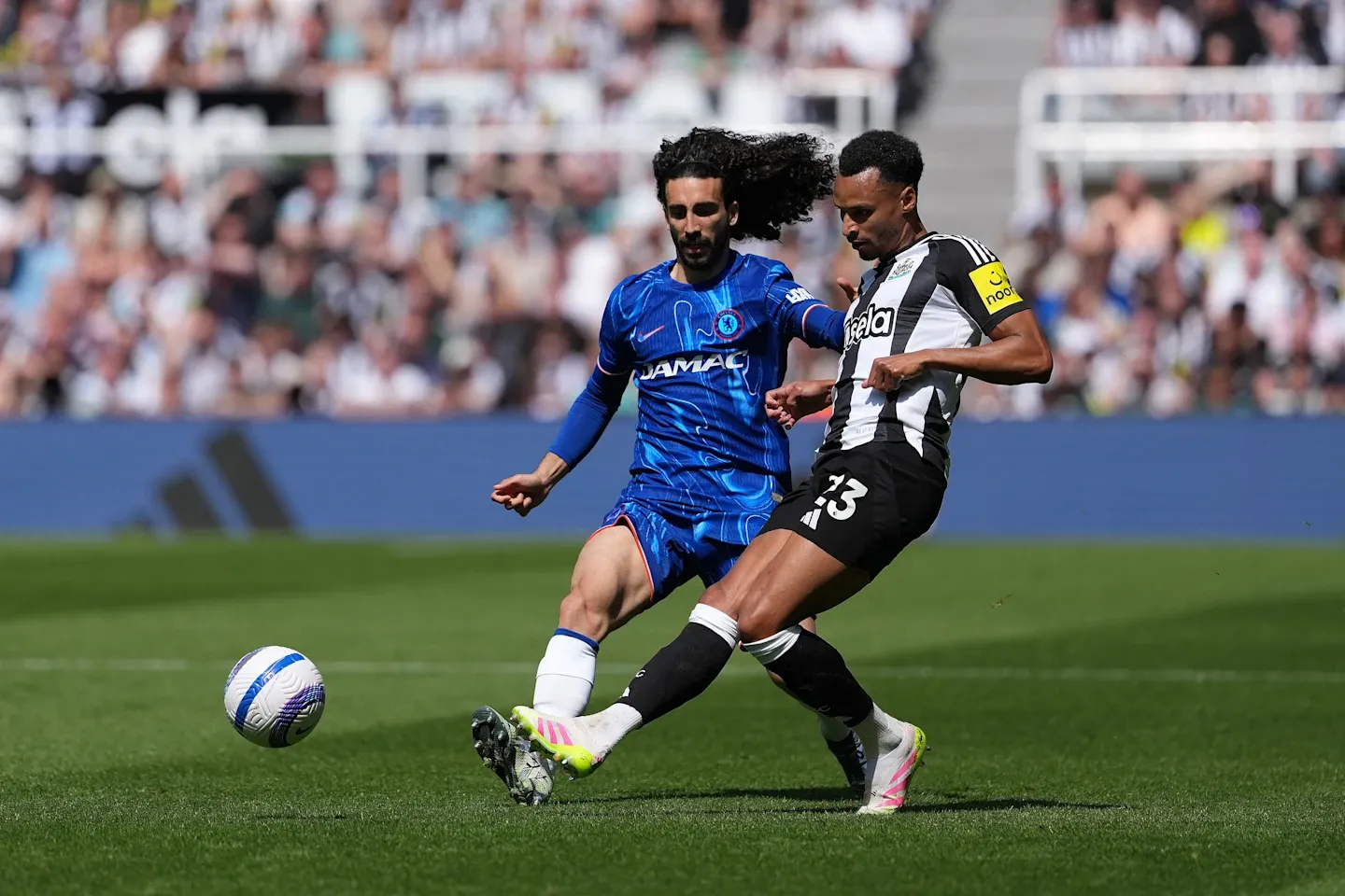 Cucurella newcastle away