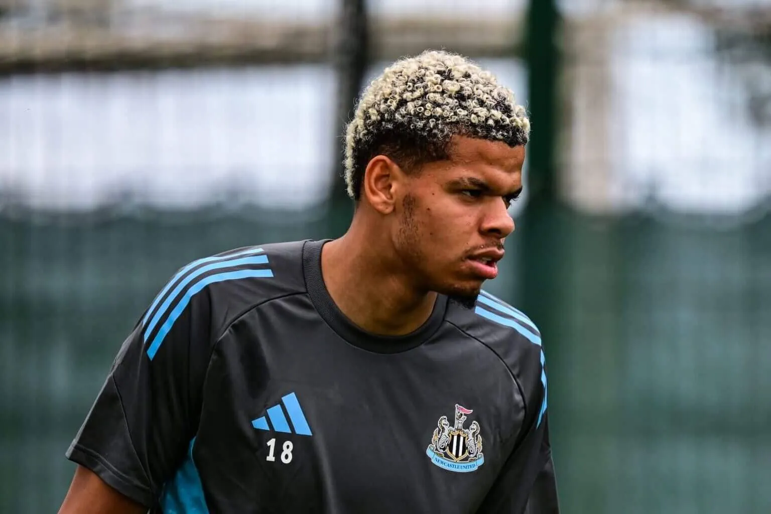 WILL OSULA NEWCASTLE scaled e1756733999830 2