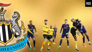 Luke Edwards urges Newcastle United fans to 'take a step back' after surprising stats brought to light