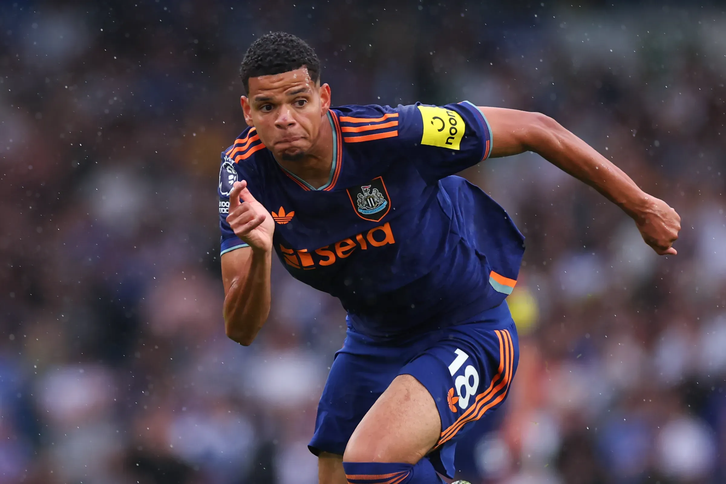 Gettyimages 2232907623