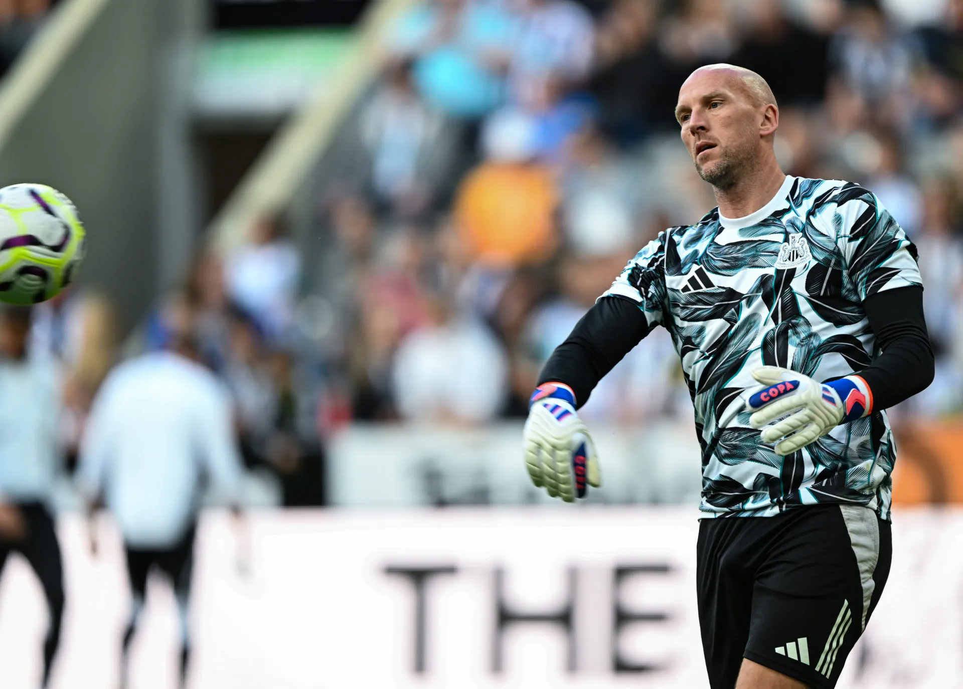 Getty Images 2166074256 scaled