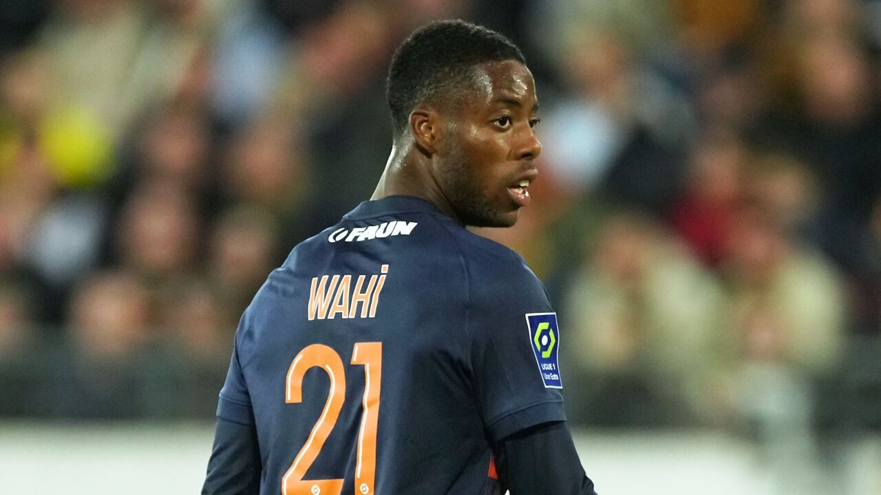 Newcastle now eyeing 21-year-old French striker who could cost £48.2m - Journalist