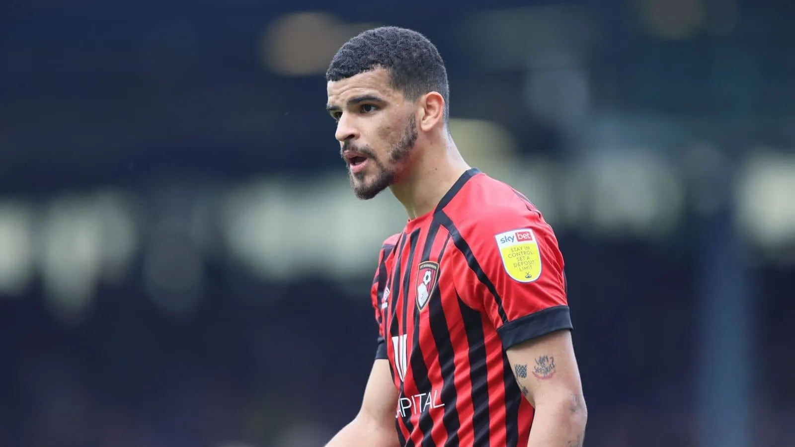 Dominic solanke bournemouth 1