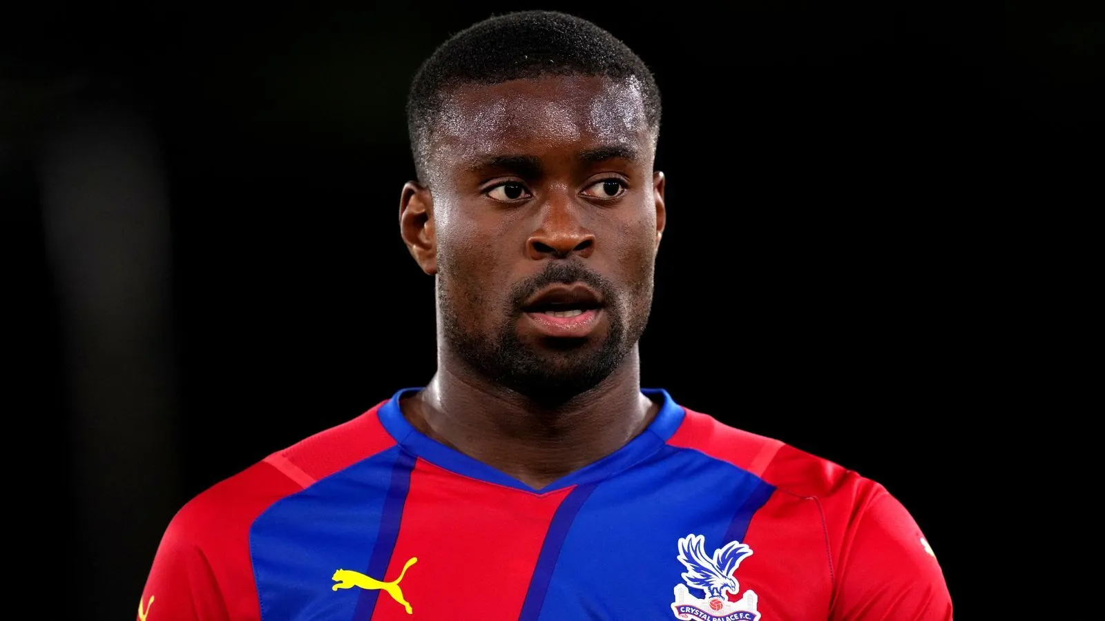 Skysports crystal palace defender 5741037