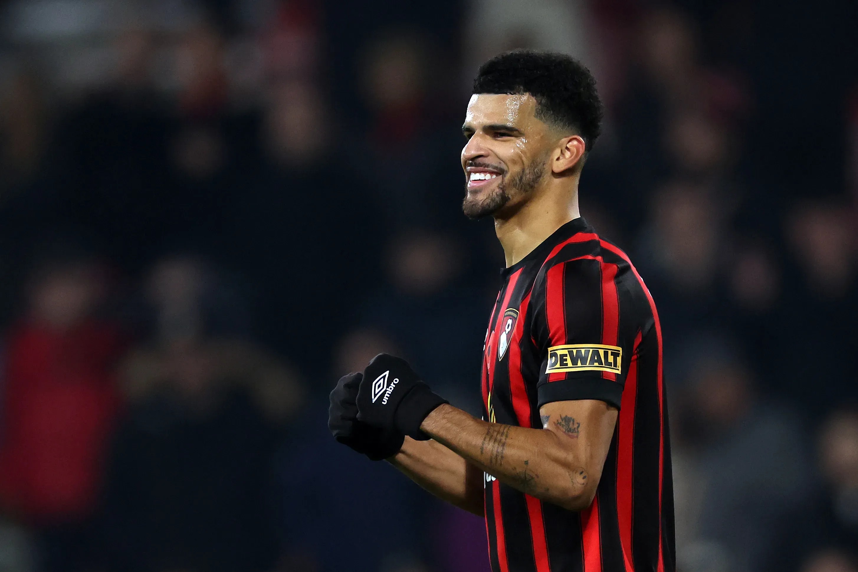 Dominic solanke afc bournemouth celebrates 858899646