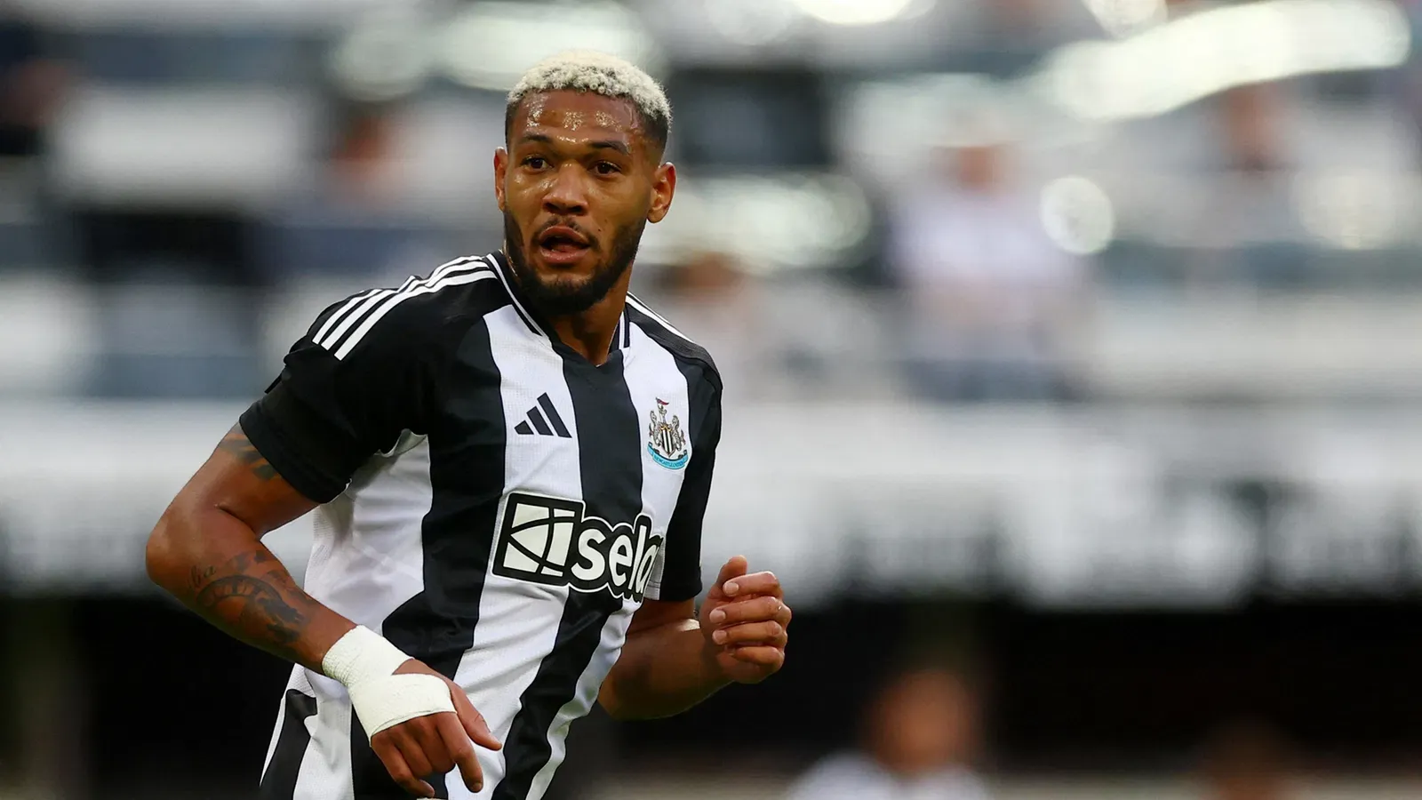 Joelinton in action 2024 newcastle united nufc 2000