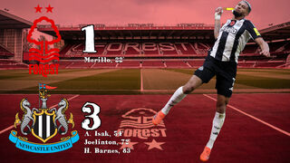 Newcastle United overcome one goal deficit to win 3-1 at The City Ground despite referee's best efforts